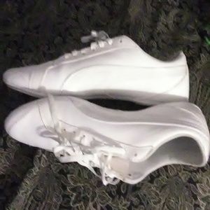 Pumas